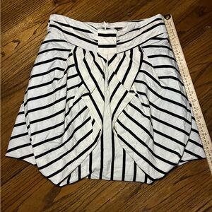 Eva Franco Monochrome Striped A-Line Skirt